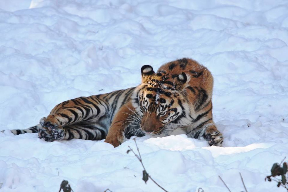 IMG_7211 - コピー.jpg