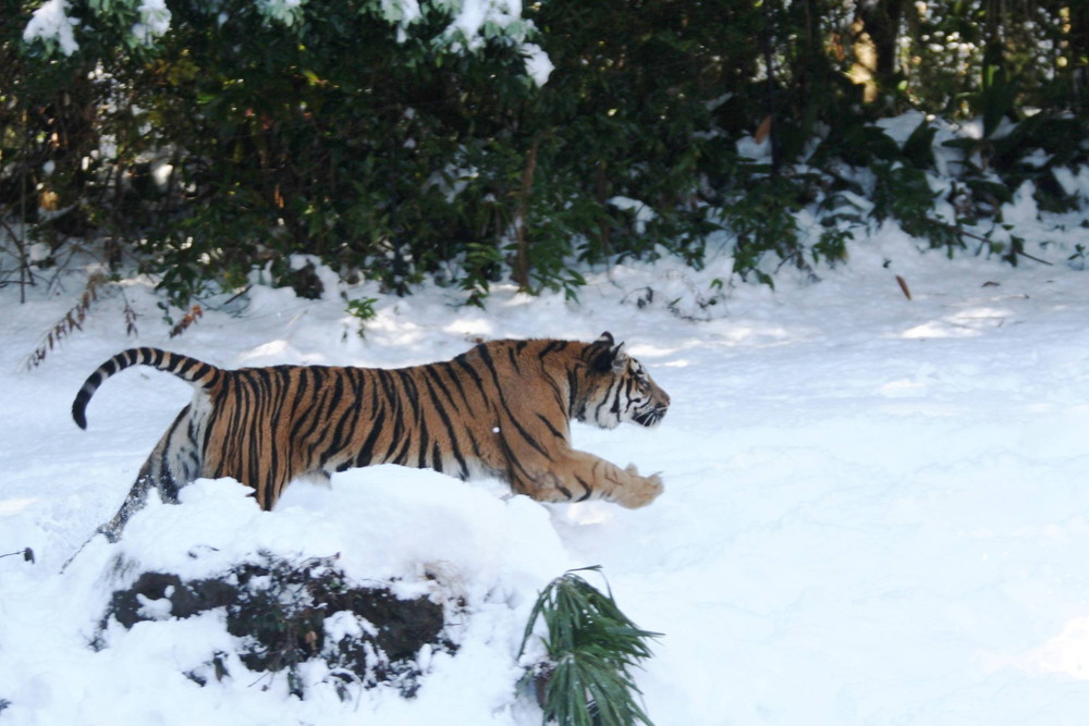 IMG_7029 - コピー.jpg