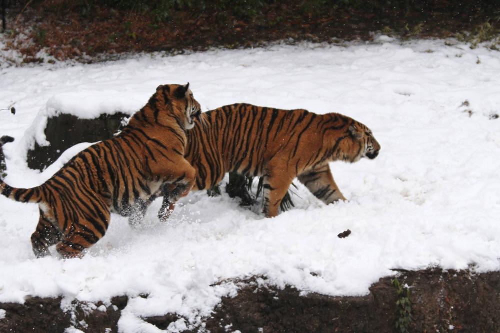 IMG_7549 - コピー.jpg