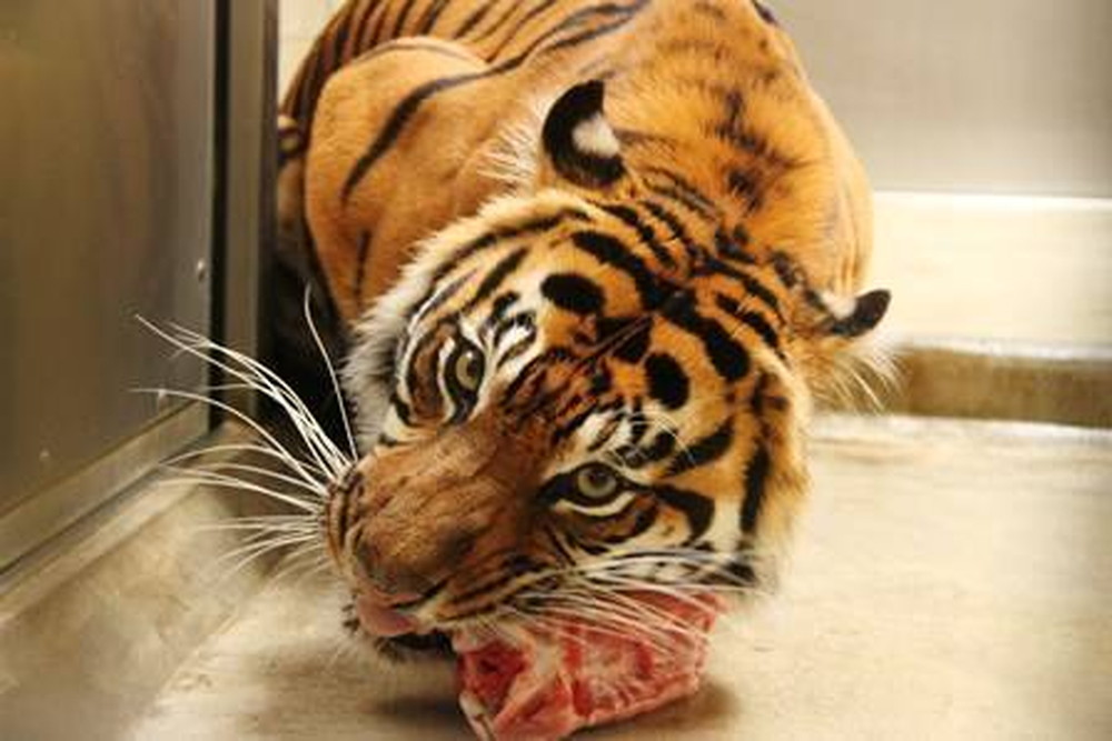 【すまとらとらBlog】20160628誕生日おめでとう!! (4).jpg