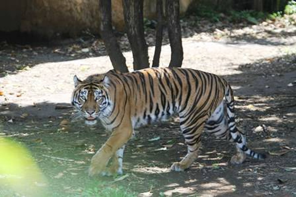 【すまとらとらBlog】20160628誕生日おめでとう!! (6).jpg