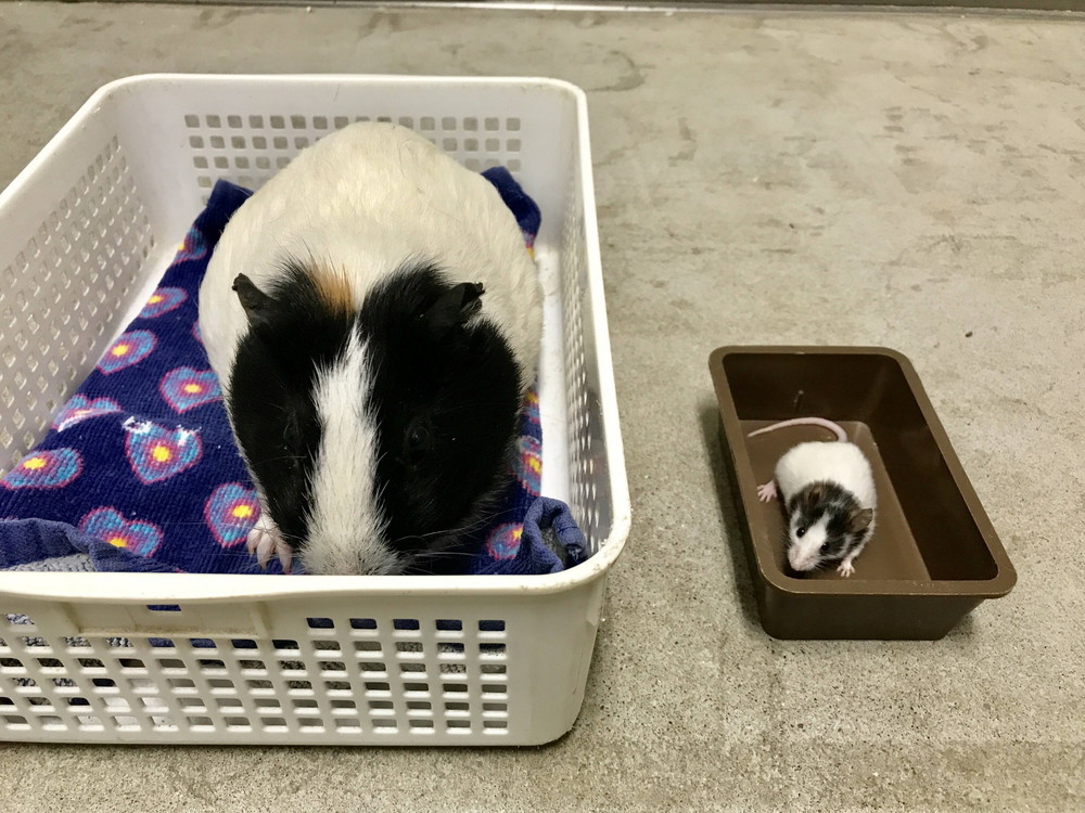 ぱかぱか 親子5.jpg