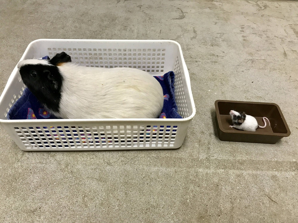 ぱかぱか親子 2.jpg