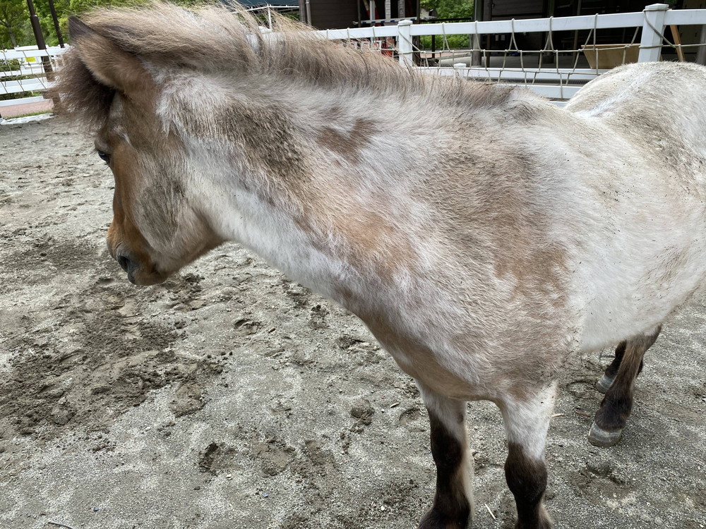 ぱかぱか 手洗い1.jpg