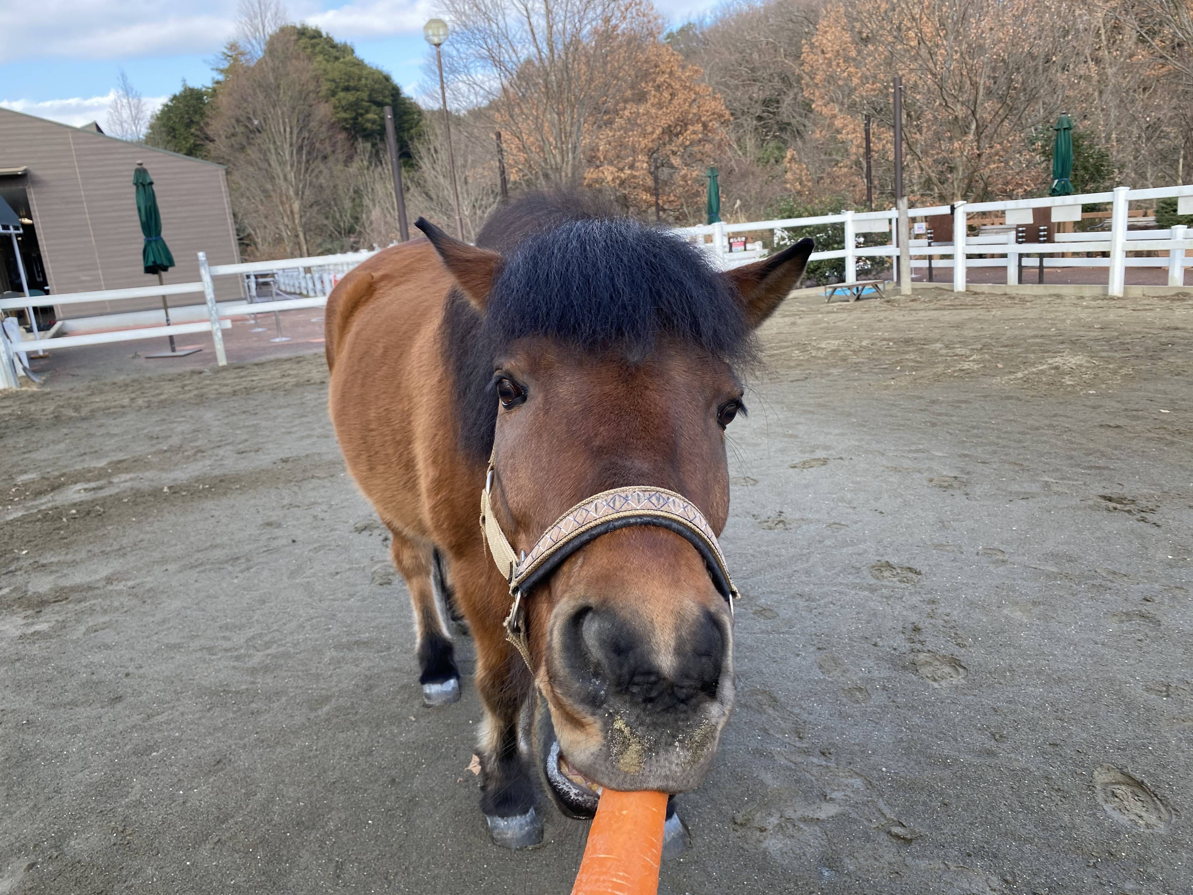 ぱかブログ キーパー3.jpg