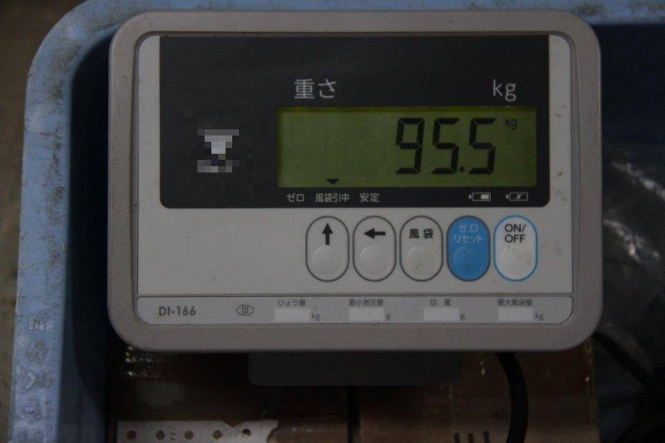 デル95.5㎏.jpg