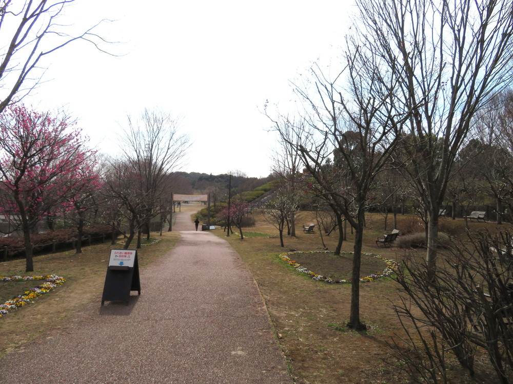 IMG_2709 - コピー.jpg