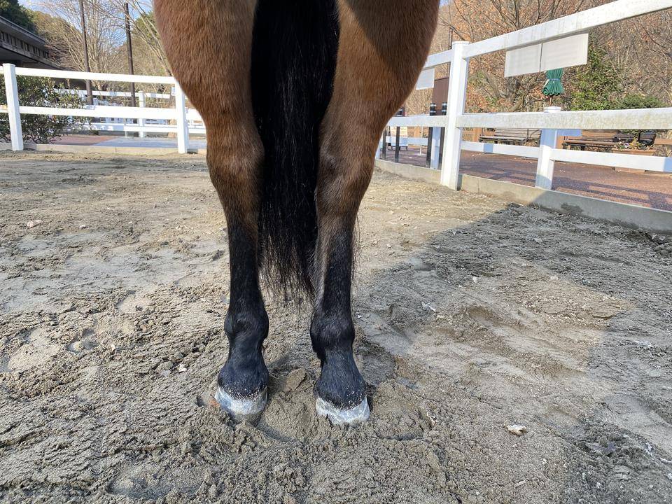 ぱかブログ キーパー8.jpg