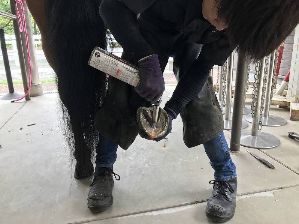 ぱかぱか広場2022馬の蹄を火で炙る1.jpg