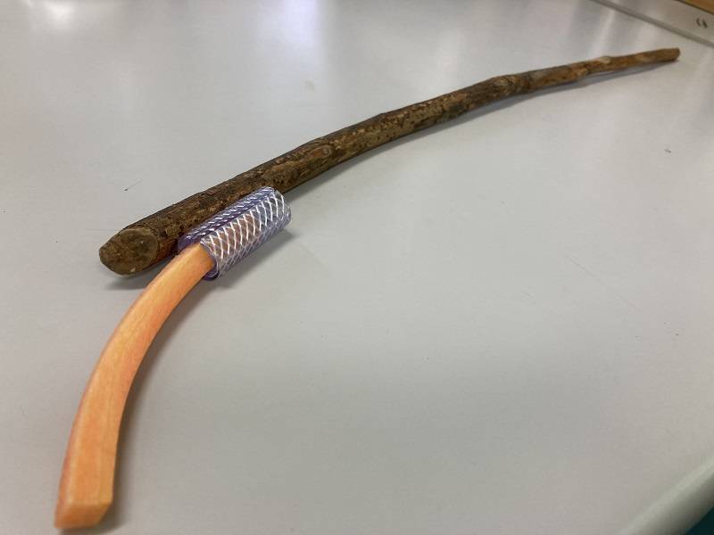 ぱかぱか202209虫対策 (5).jpg