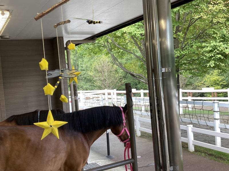 ぱかぱか202209虫対策 (12).jpg