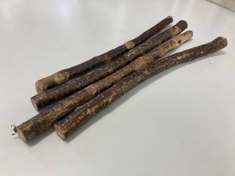 ぱかぱか202209虫対策 (6).jpg