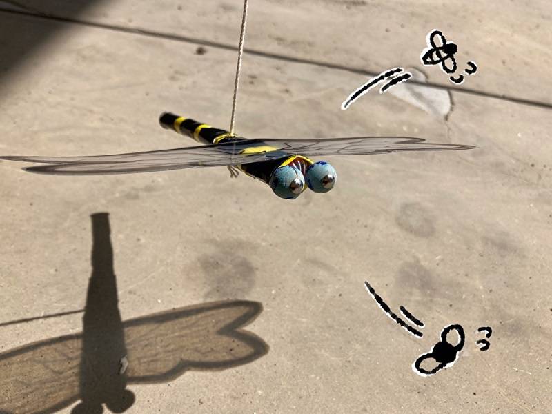 ぱかぱか202209虫対策 (4).jpg