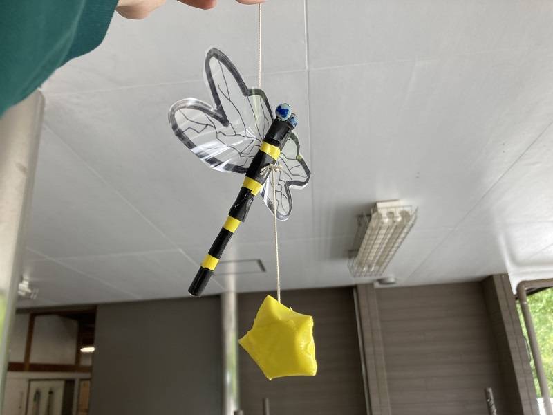 ぱかぱか202209虫対策 (2).jpg