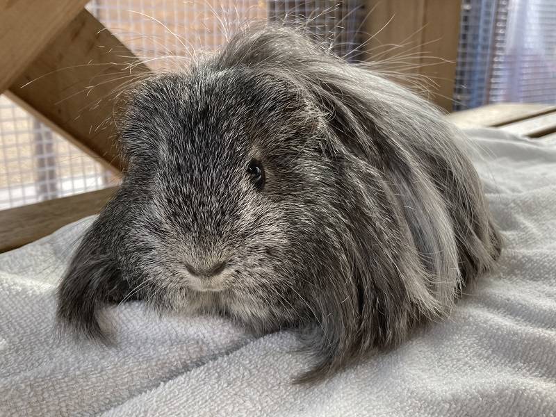 ぱかぱか202302勝手にQA② 6.jpg