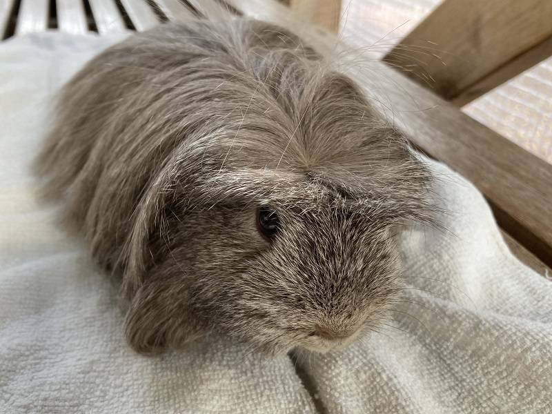 ぱかぱか202302勝手にQA② 8.jpg