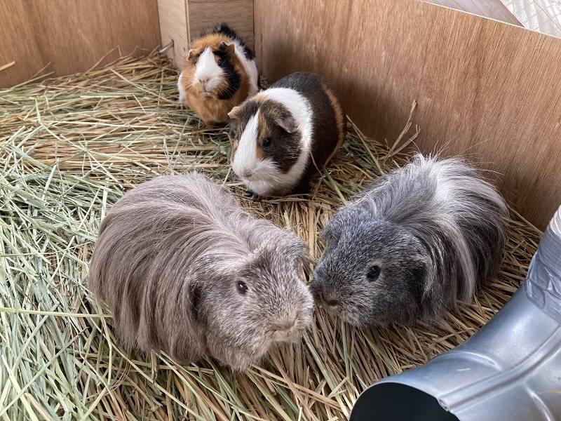 ぱかぱか202302勝手にQA② 1.jpg