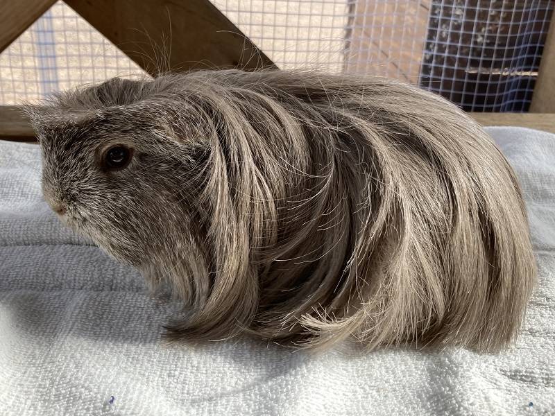 ぱかぱか202302勝手にQA② ９.jpg