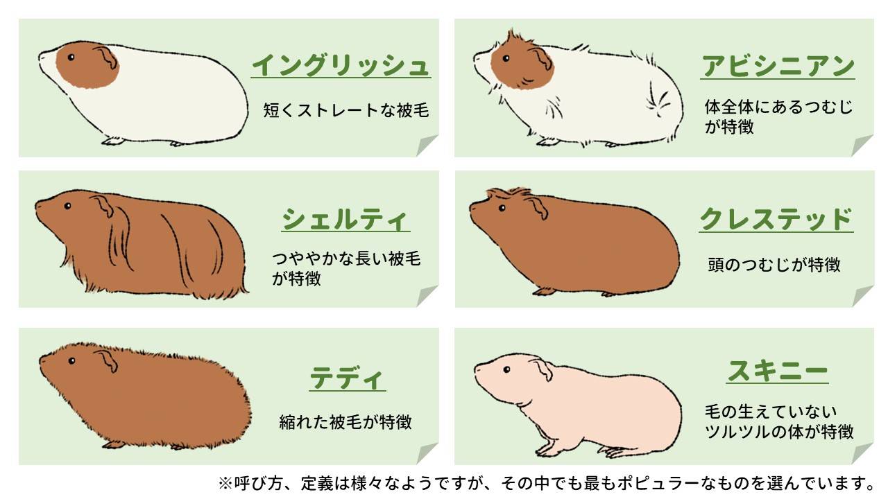 ぱかぱか202302勝手にQA② (8).jpg