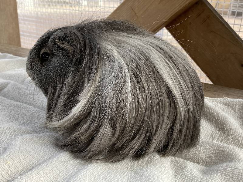 ぱかぱか202302勝手にQA② 7.jpg