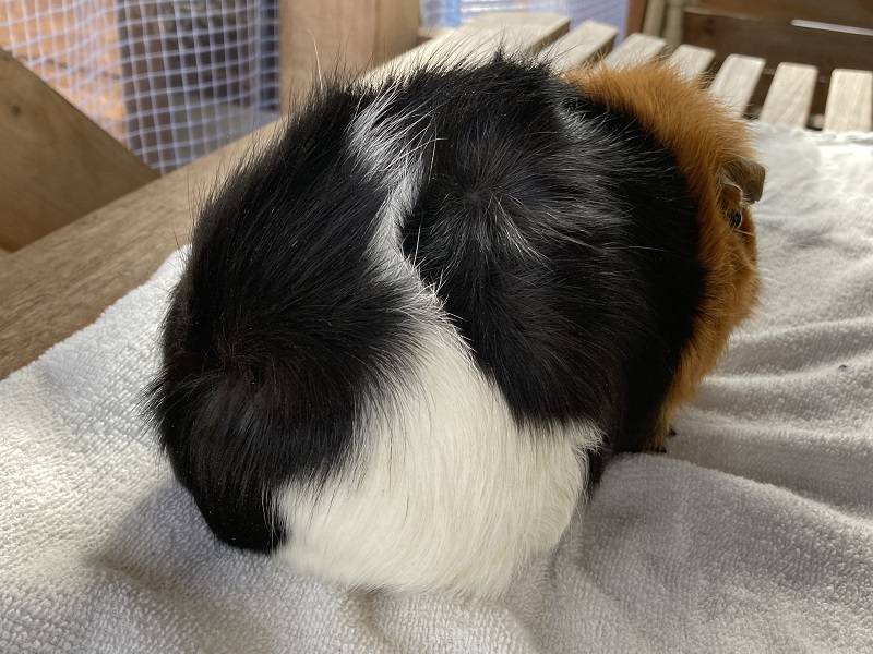 ぱかぱか202302勝手にQA② 5.jpg