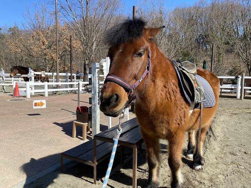 ぱかぱか 春5.jpg