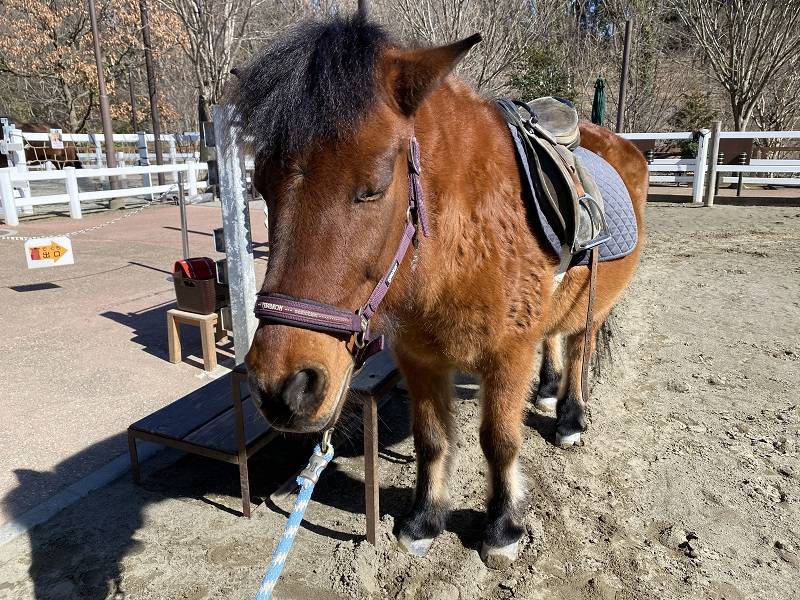 ぱかぱか 春8.jpg