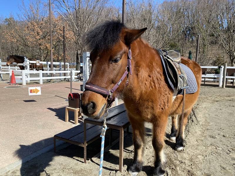 ぱかぱか 春6.jpg