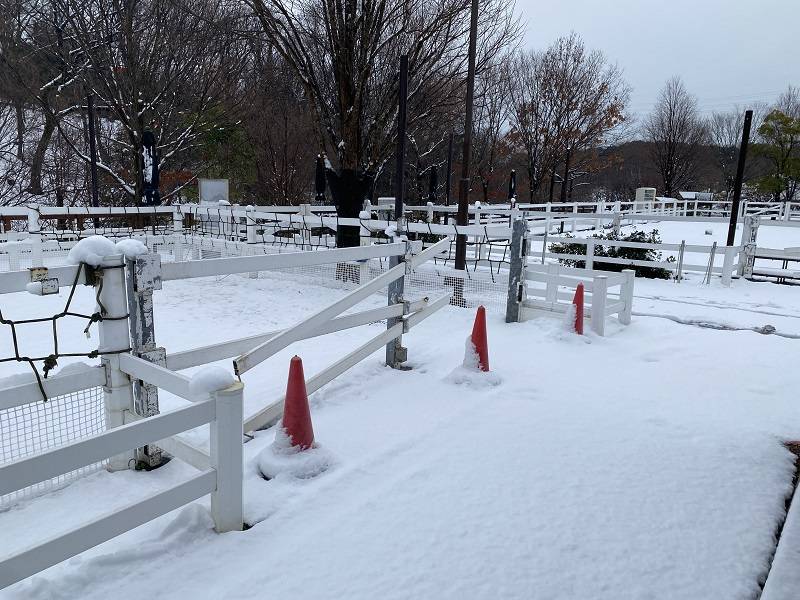 ぱかぱか 雪.jpg