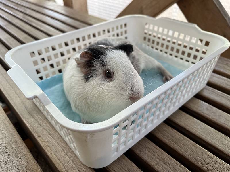 モル―ティン2 4.jpg