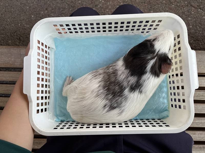 モル―ティン2 5.jpg