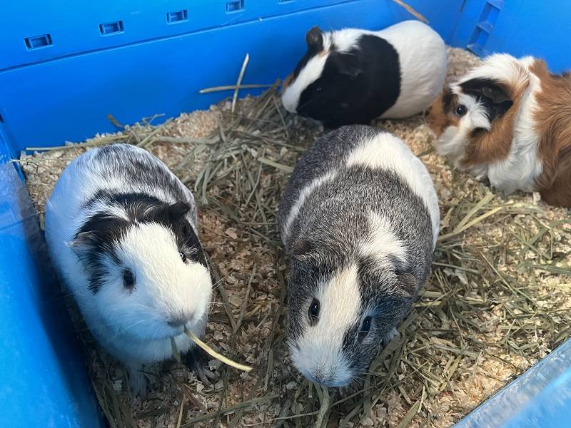 モル―ティン2 2.jpg