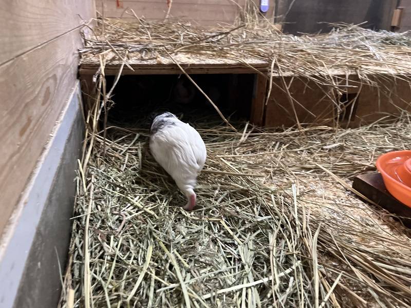 モル―ティン2 7.jpg