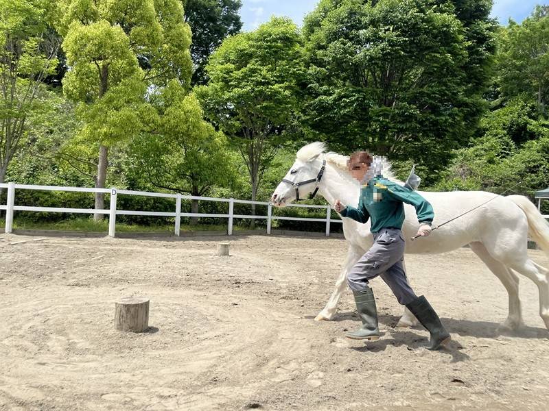 走るスノーゴッドと並走する飼育員.jpg