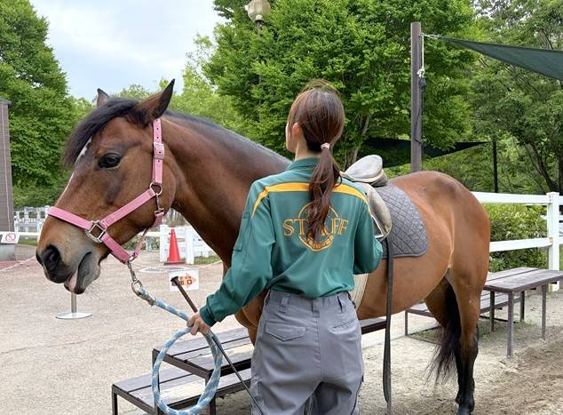 ひき馬体験準備中の飼育員.jpg