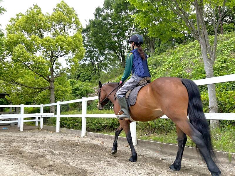 ソフィアに乗馬中の飼育員.jpg