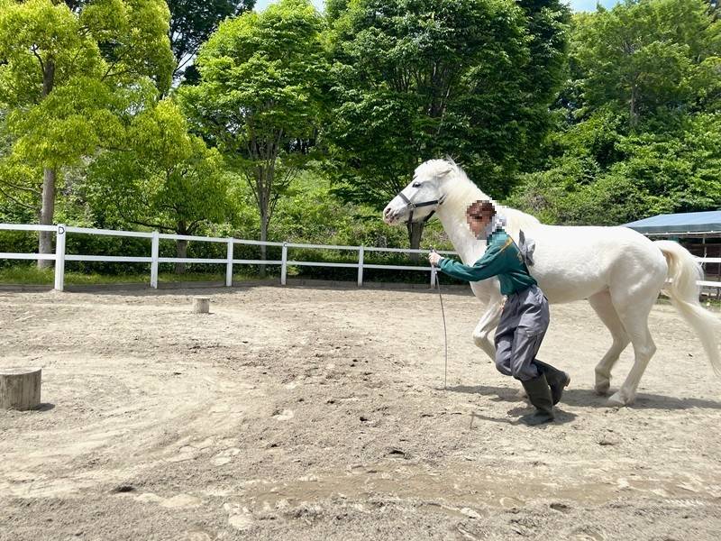 走り出すスノーゴッドと飼育員.jpg
