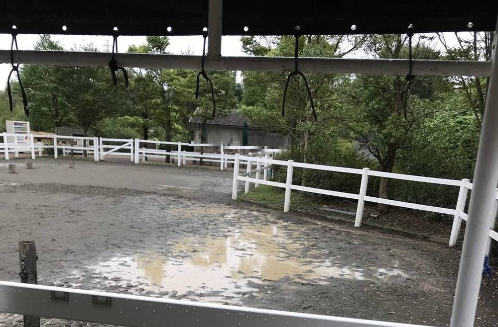 雨でドロドロの馬場.jpg