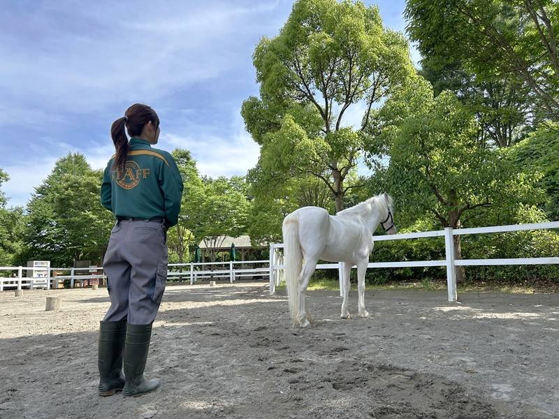 「待て」をしているスノーゴッドとその後ろに立つ飼育員.jpg