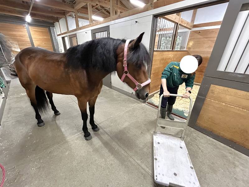 「ソフィア」に台車を見せる飼育員.jpg