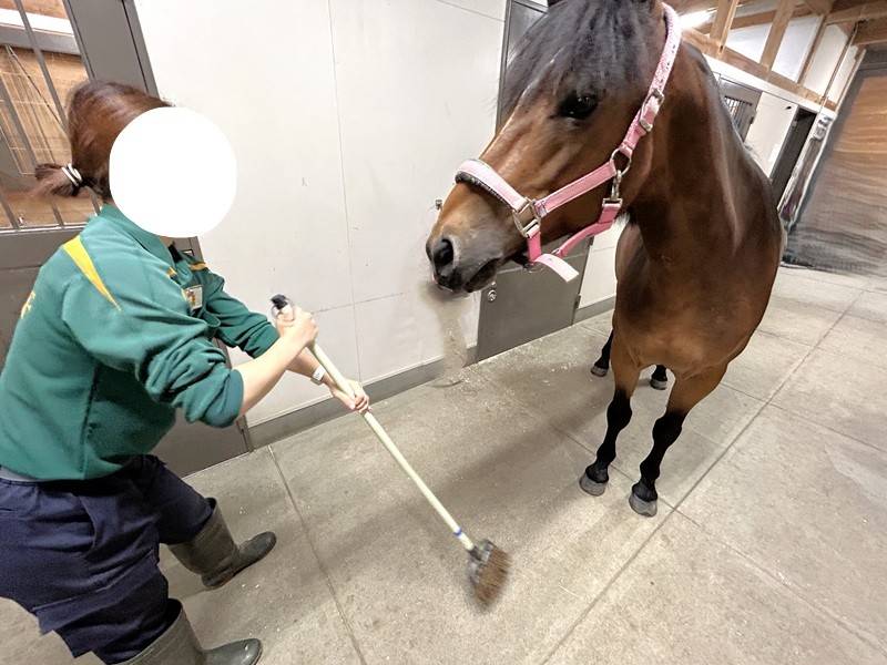 「ソフィア」の前で掃き掃除をする飼育員.jpg