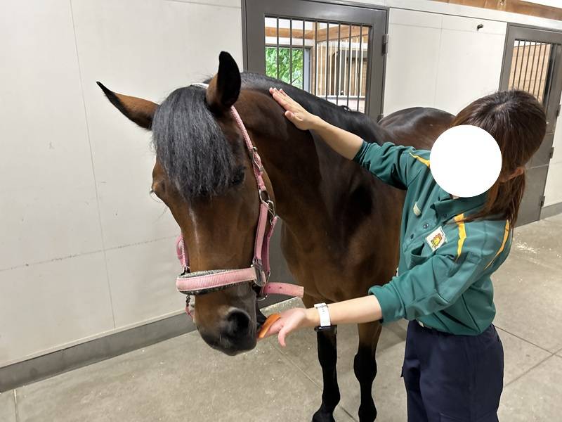 飼育員に撫でられながらニンジンを食べる「ソフィア」.jpg