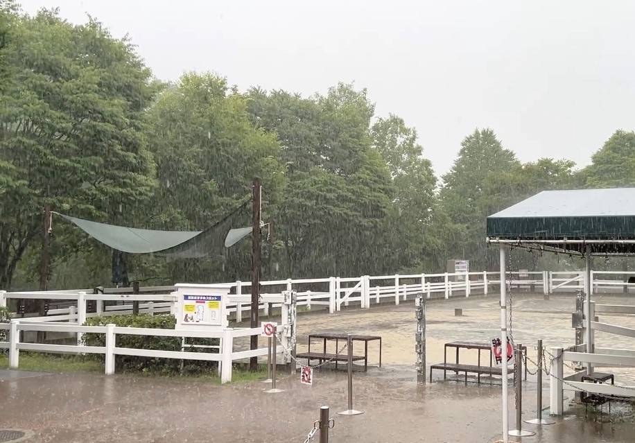 大雨のぱかぱか広場.jpg