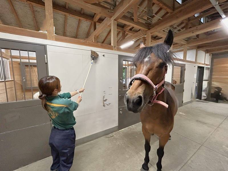 「ソフィア」の近くで箒を振る飼育員.jpg