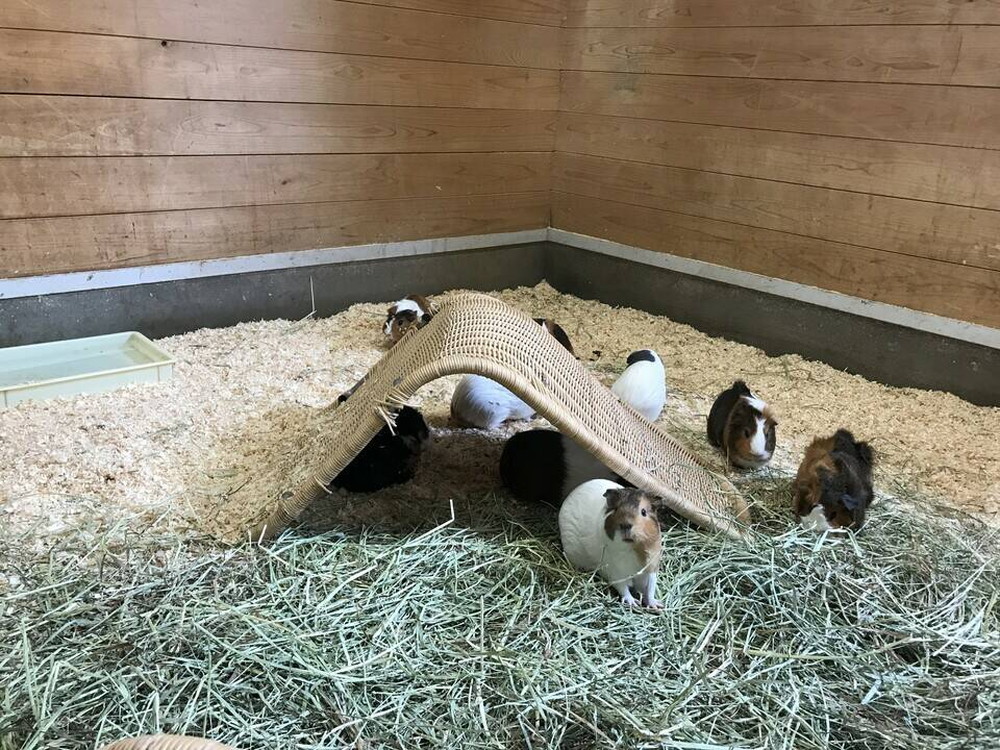 ぱかぱか お昼寝4.jpg