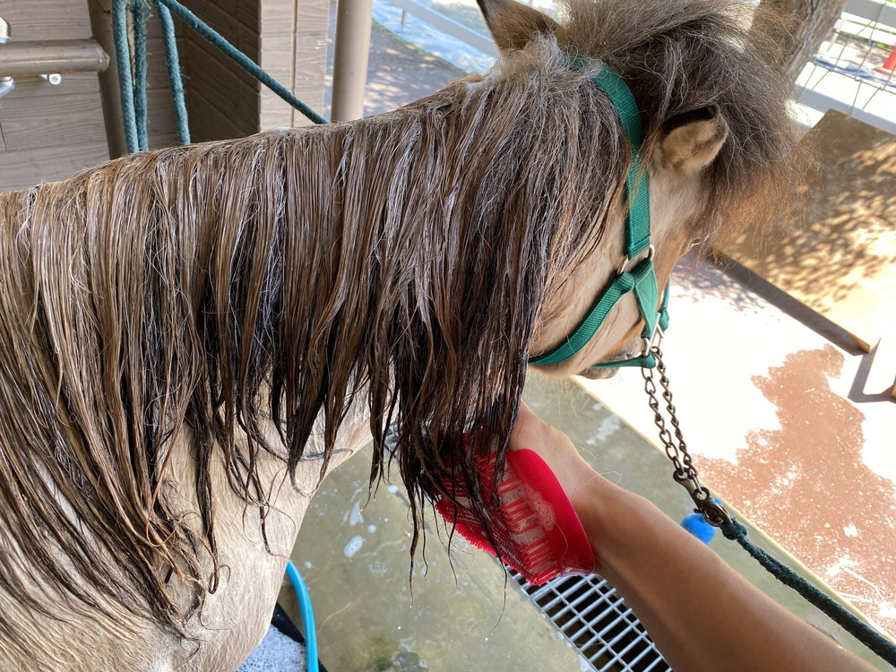 ぱかぱか 手洗い7.jpg