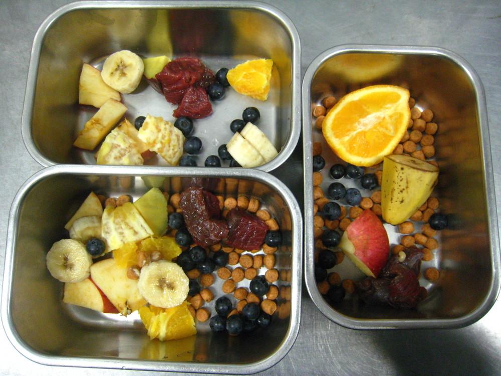 季節限定メニュー (1).jpg