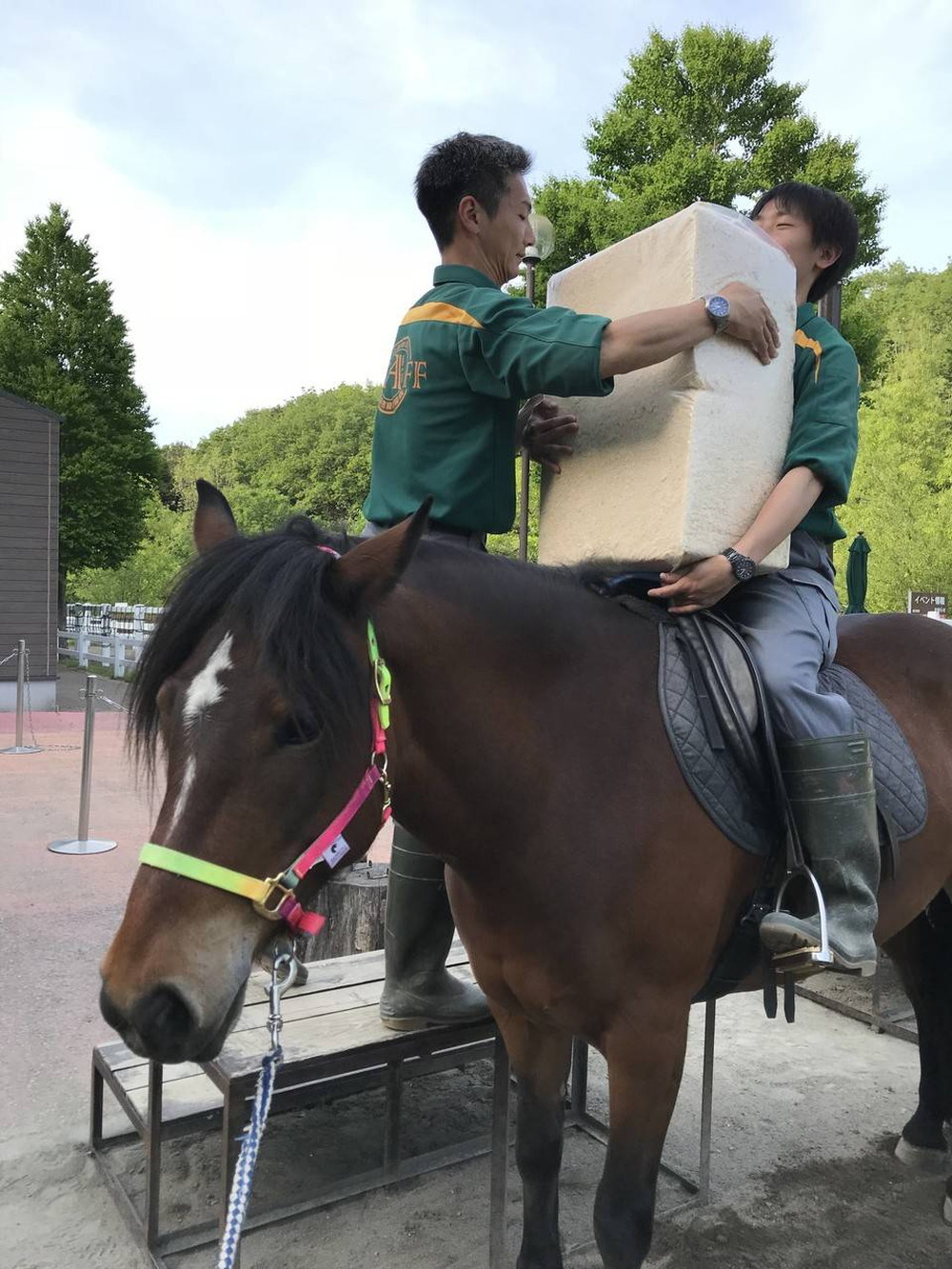 ぱかぱかブログ2018騎乗トレ 二人乗り2.jpg