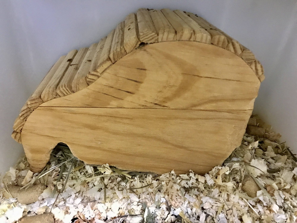 ぱかぱか ナイトパンダ3.jpg