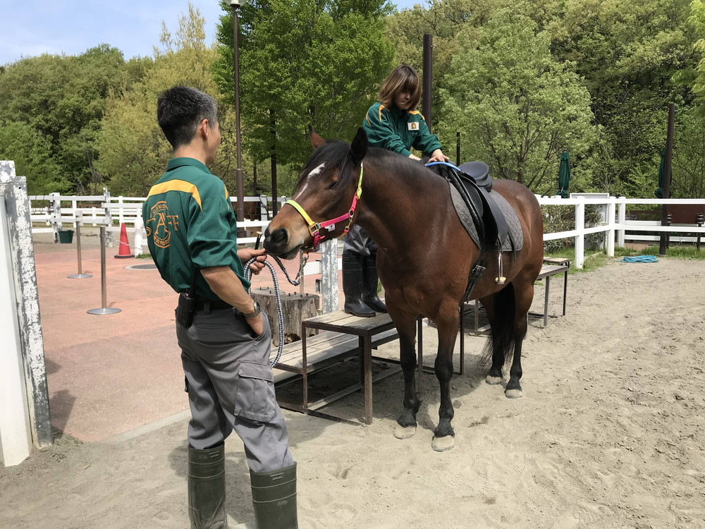 ぱかぱかブログ2018騎乗トレ 負荷1.jpg